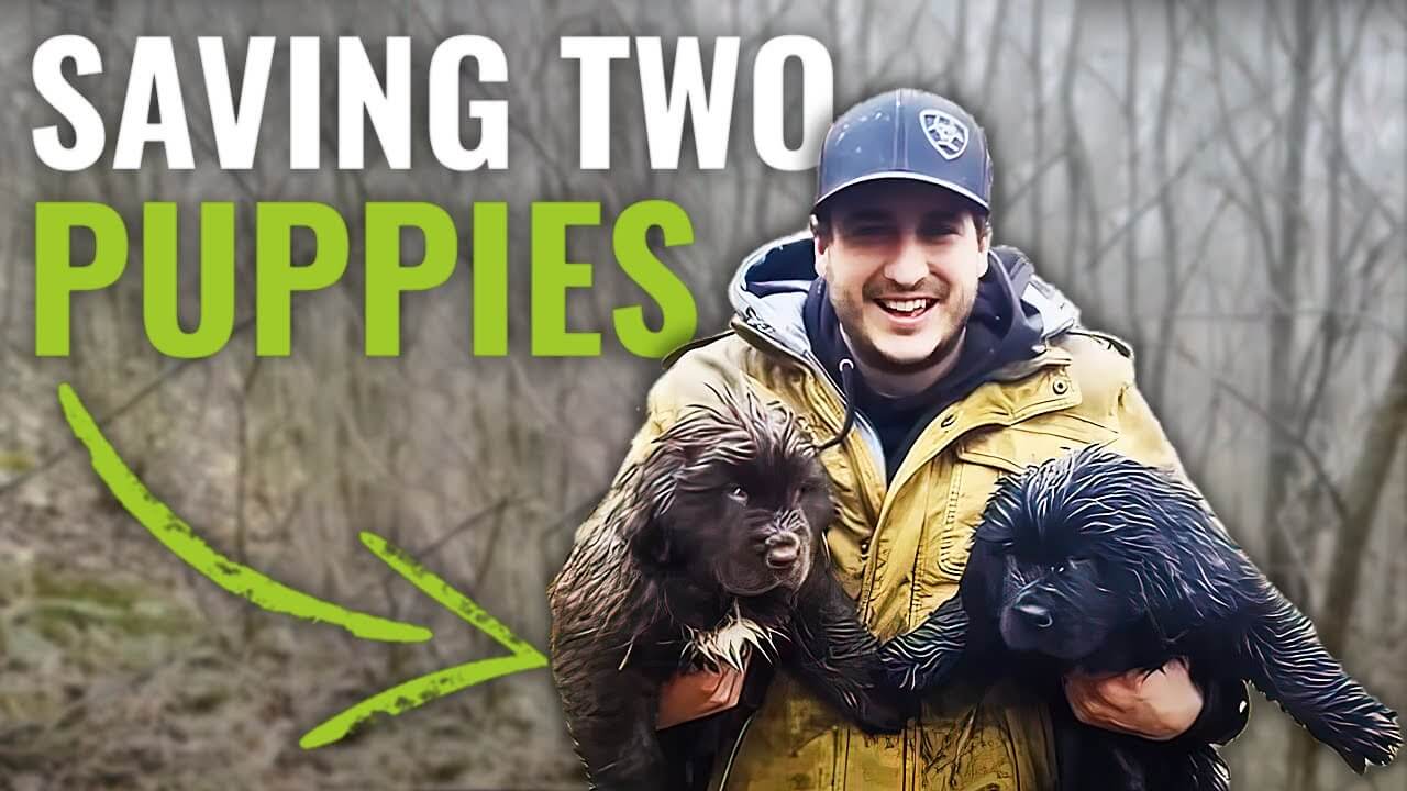 Lost Puppies Found with thermal drone