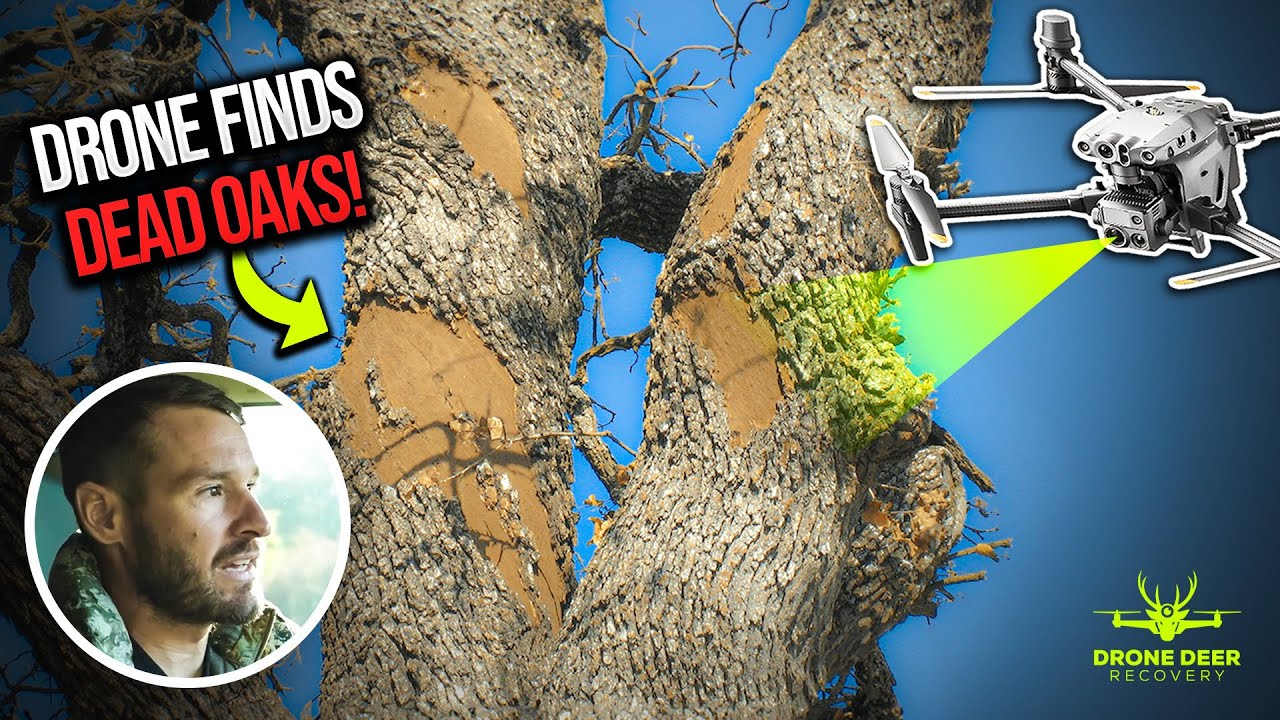 Oak Wilt, Drone Inspection