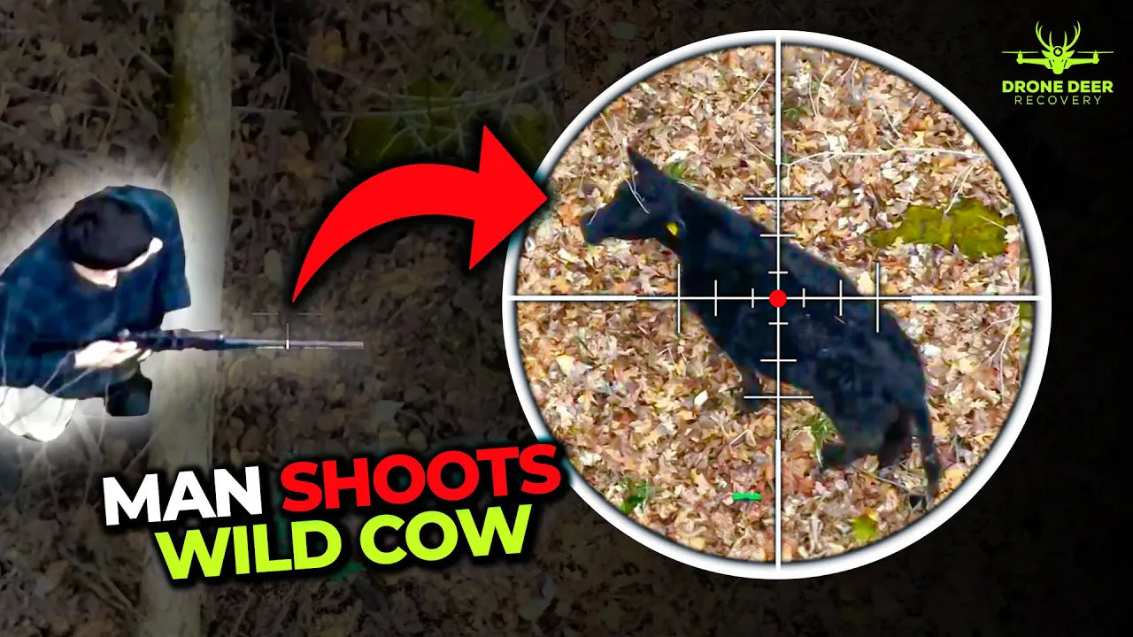 Drone Captures Man Shooting Cow