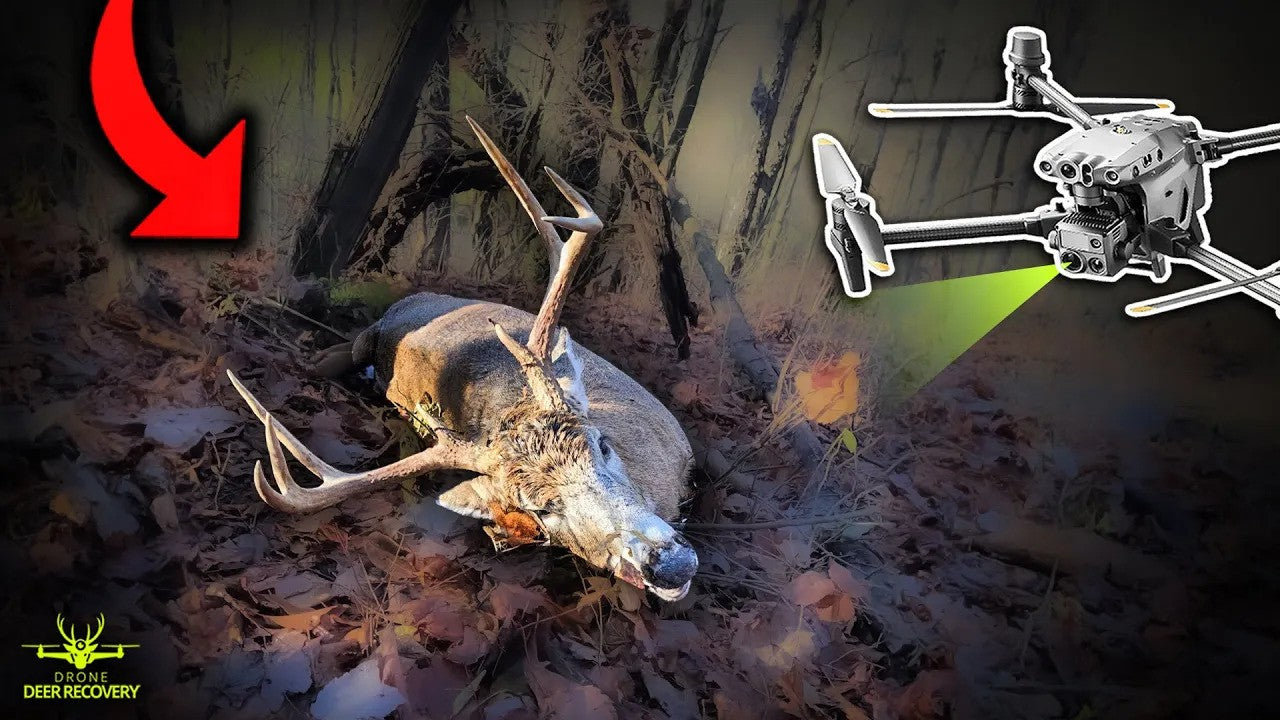Buck Found in the Rain with Drone