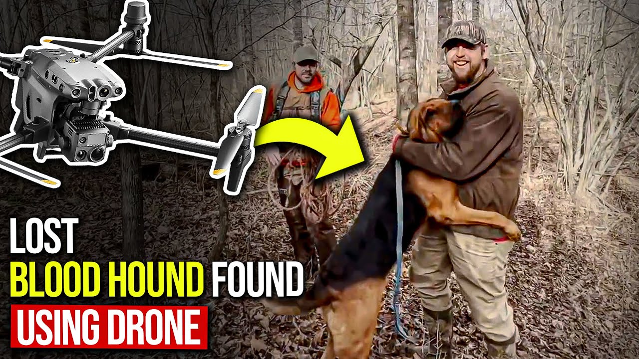 Lost Bloodhound Found Using Thermal Drone