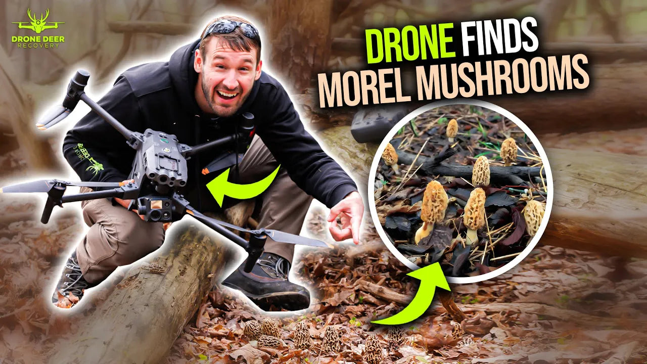 Morel Mushroom Hunting with Thermal Drone