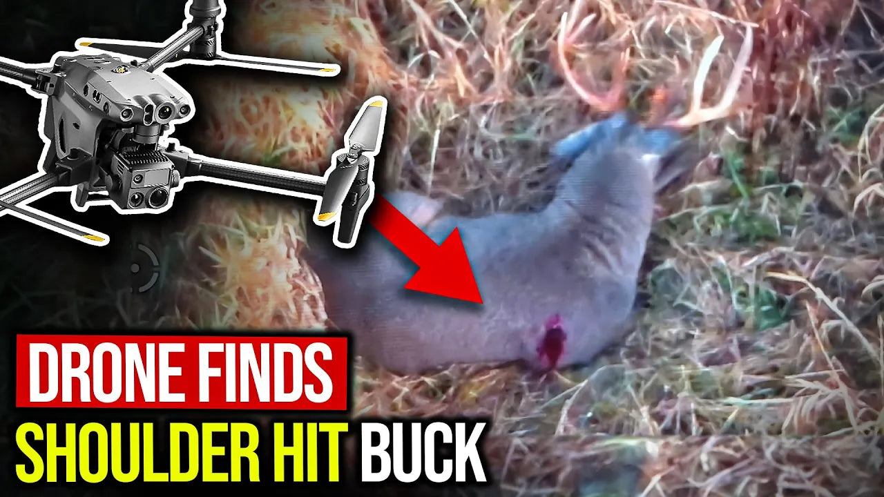 Found a Shoulder-hit buck