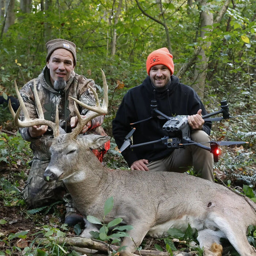 Deer Recovery
